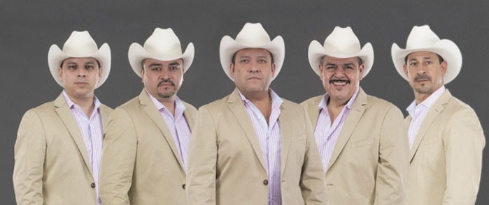 contratar a Grupo Pesado
