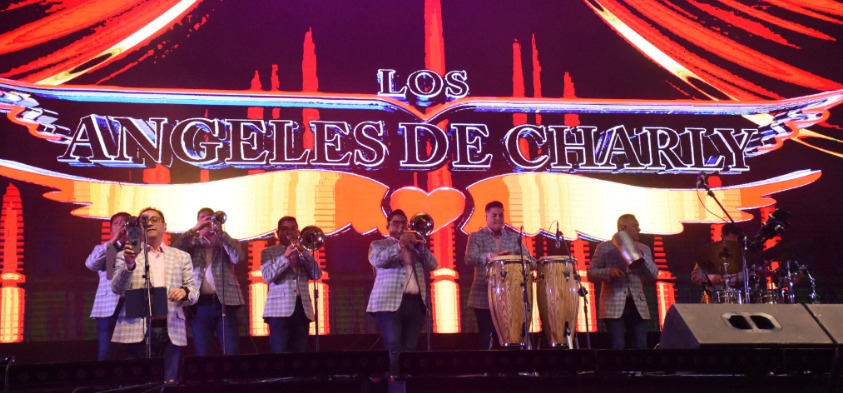 contratar a los ángeles de charly